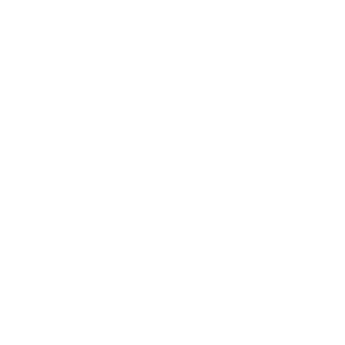 Zenit Incompatible
